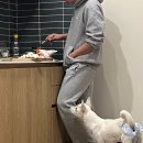 1765 | [애견동반숙소] 강원도 횡성 "삽교 1765" 에어비앤비 숙박 후기