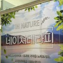네이처테라피센터