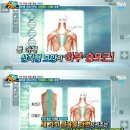 체형교정원 이미지