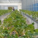 박대성농장 이미지