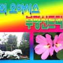 신트리공원 이미지