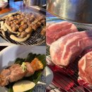서초갈비 | 교대 맛집 육통령 교대직영점:) 고기 구워주는 삼겹살, 갈비 저녁식사 후기(주차가능)