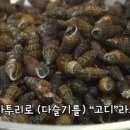 영천공설시장 이미지