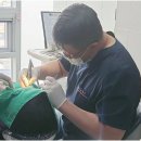 새롬치과의원 이미지