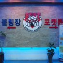 베스트볼링&포켓볼 이미지