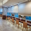 일산위시티 동물약국 | 스타일 변신, 여기서 시작해볼까요? 쾌적한 일산미용실 방문 후기