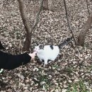 와플대학충효캠퍼스