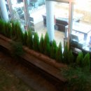 이레(food) 네이버블로그