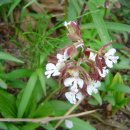 청한농장 이미지