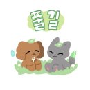 왕자와 공주 | 강남 쿠쿠룸190000 [왕자와 공주] 위기에 빠진 곤듀님 구출 후기👸