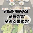 안동오리 | 경북안동맛집 교동쌈밥 후기(+오리주물럭쌈 추천)