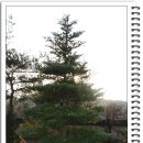 기장중학교 이미지