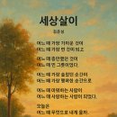 세상살이 이미지