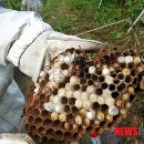 이영우농장 이미지