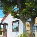 노란풍차유치원 | [제주]에서 먹는 건강식 | 호박이 면이 된다고?🎃 국수호박 요리 전문점✨| 쓰쓰카페 🧡