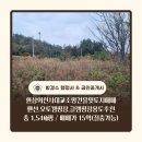 신안천사공인중개사사무소 이미지