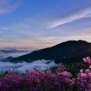 카카오 스토리 하루 하루 방문자! 이미지