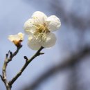 본마을4길 6 이미지