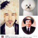 개랑나랑 SBS연예뉴스