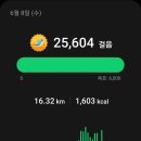 주영빌딩 개방화장실 | [산행] 6.8 : 서울 북악산(北岳山)-인왕산(仁王山/仁旺山)-안산(鞍山/舞岳山)