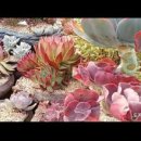 해림농장 이미지