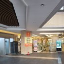 광교약국 | 수원 광교 왁싱 브라질리언왁싱 후기 라벨르왁싱