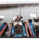 율포물양장 이미지