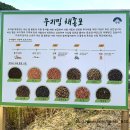 청운 농장 | 양평 가볼만한곳 제 3회 양평밀축제 기본정보 및 가본 후기