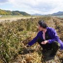 *UN 농민 권리 선언 19조 - 토종 자신의 종자와 전통지식을 유지·관리·보호·육성할 권리 출처 : 한국농정신문 이미지