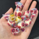 방배중앙로15길 6 | 무럭무럭 자라기