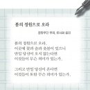 시 3편 / 루미. 정채봉. 루미 이미지