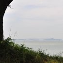 밤섬해수욕장 Daum카페