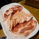 나노갈매기 이미지