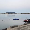 해뜨는마을펜션 이미지