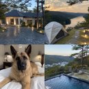 돌담펫호텔 | 반려견 동반 &#39;프라이빗 독채 펜션&#39; 전국 리스트 및 정보