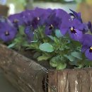 디지털프라임치과의원 | 인생 치아템 발견! 프라임 39 플란트 치과 드디어 방문 후기