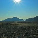 신항민박