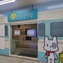 삼성장미 아파트 1137동 어린이 놀이터 | [부천임장] 부천 중동 상동 분위기임장 후기