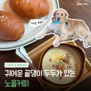 우쭈쭈 내강아지 | 강형욱도 왔다 간 부여 애견동반 카페 | 노을커피 메뉴·주차·분위기 후기 🐶