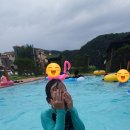 효블리하우스 이미지