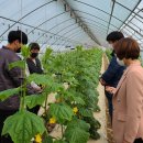 이성기농장 이미지