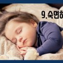 핫점핑 다이어트