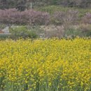 영성 의료기기 이미지