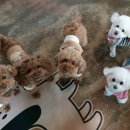 동탄스케치동물병원 이미지