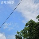 벨치과의원 네이버블로그
