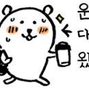 엠씨티 짐 시청 이미지