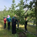 장수읍사무소 이미지