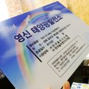 시안 태양광발전소 이미지