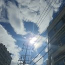 24년 9월 영화 토론 모임 공감 후기 (썸머필름을 타고, 어둔 밤, 청년예술청)