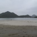 일오삼민박